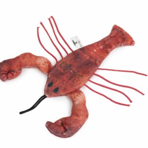 54322 lobster