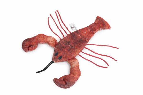54322 lobster