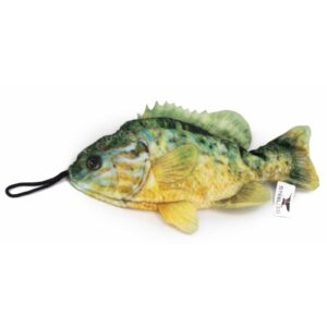 sunfish