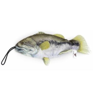 bass