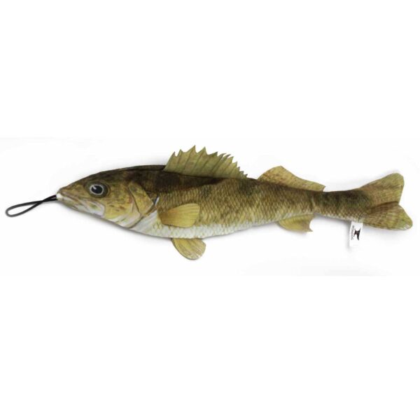walleye