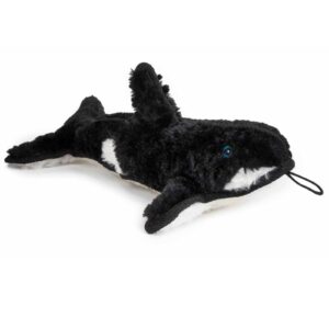 killer whale