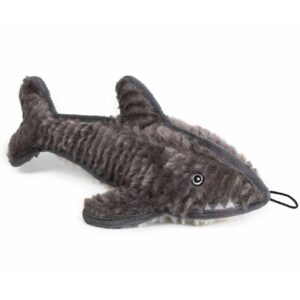 shark