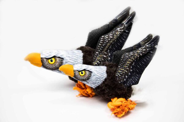 54444 eagle