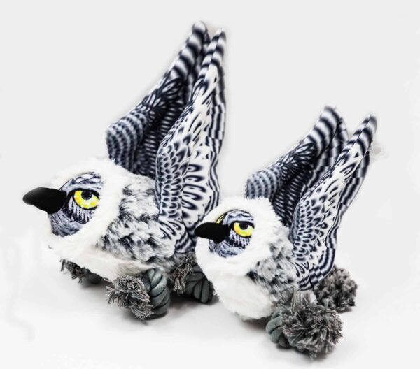 54445 snowy owl