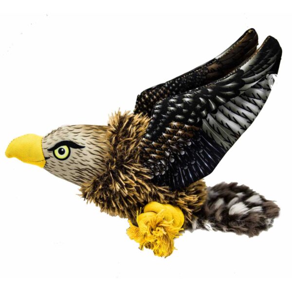 hawk