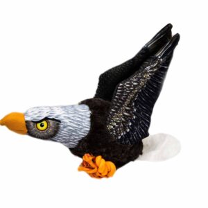 54447 eagle