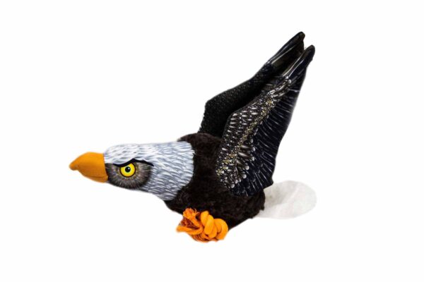 54447 eagle