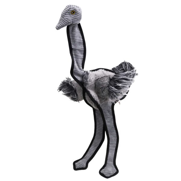 ostrich