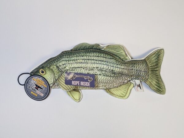 denim bass