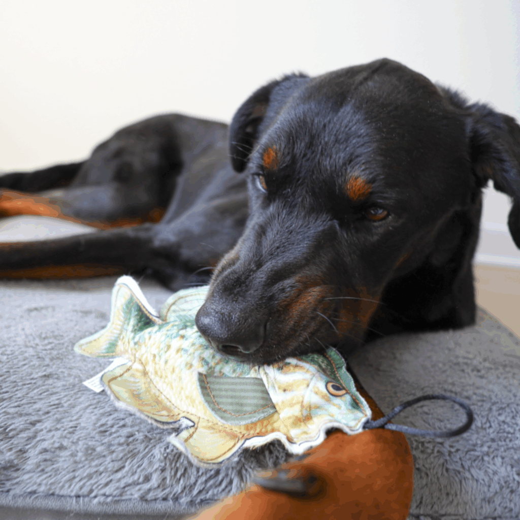 Picture of Steel Dog USA Denim Sunfish Dog Toy | Tough Denim + Rope Toy with ...