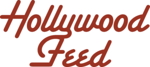 hollywoodfeed