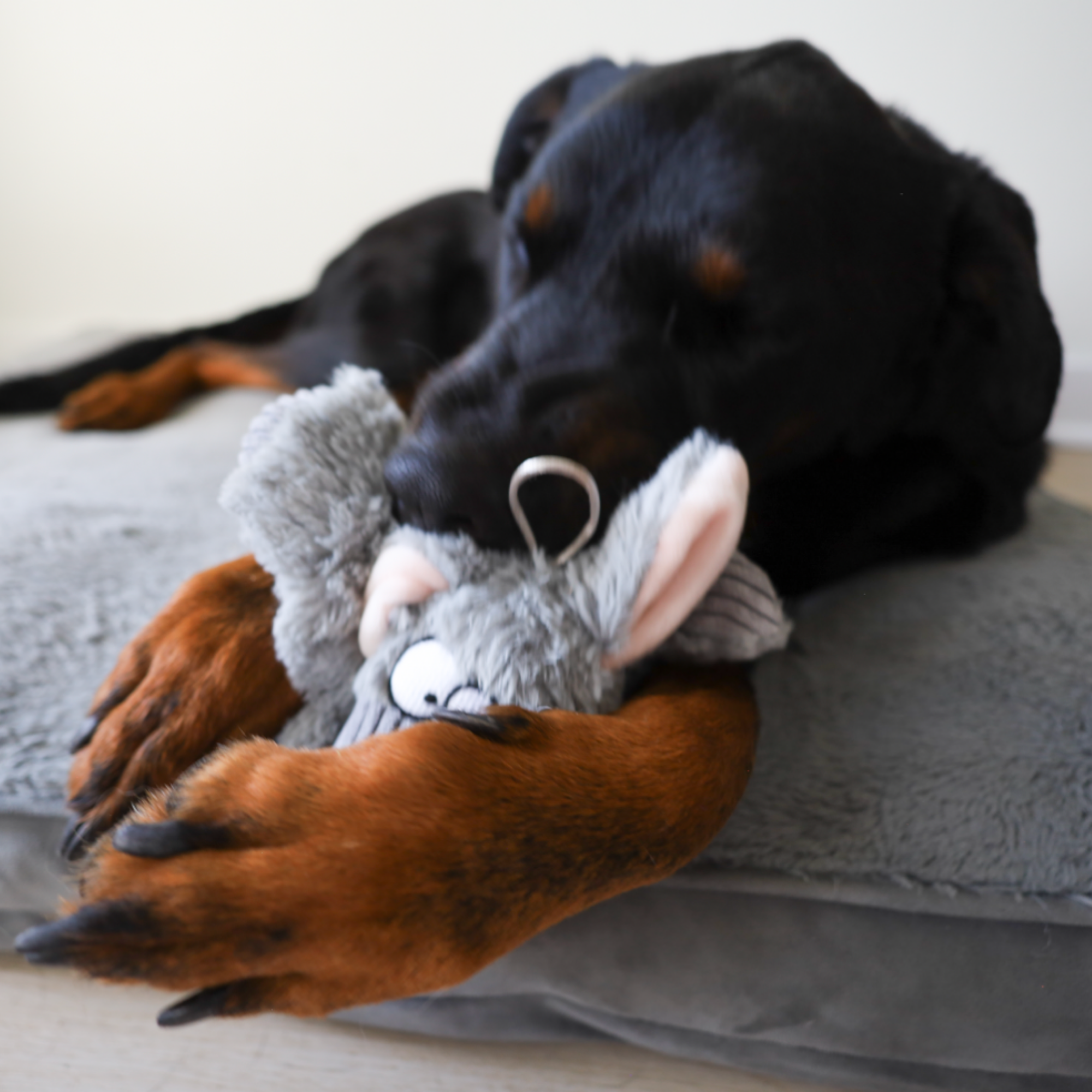 barnyard buddy donkey