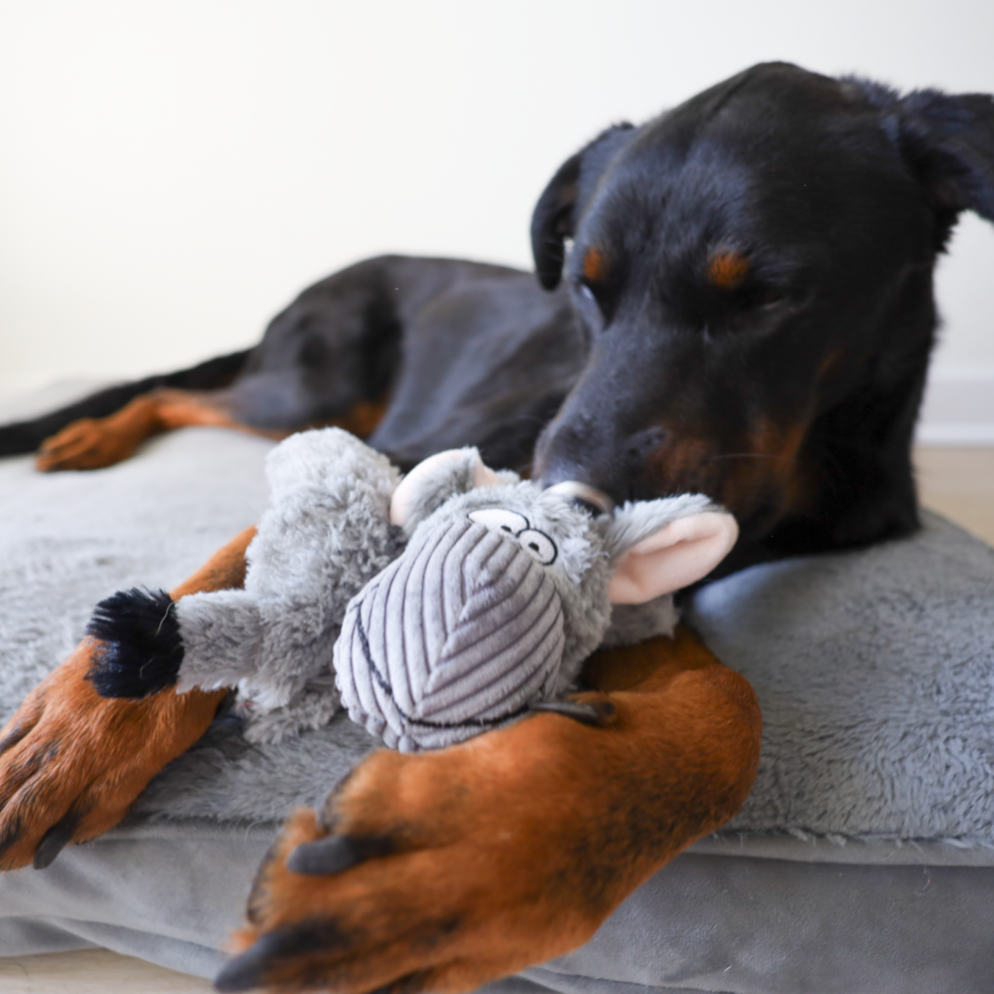 barnyard buddy donkey