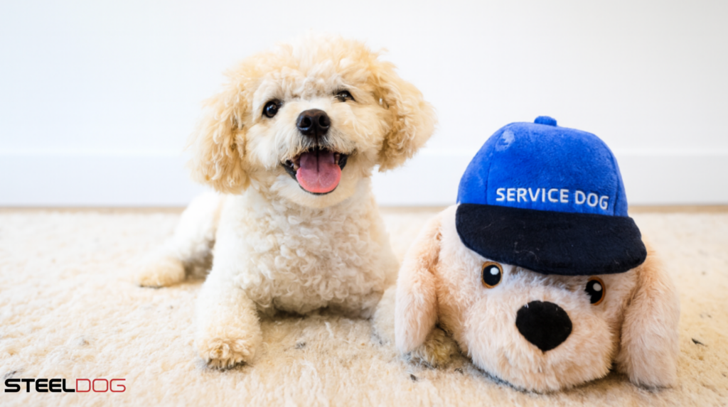 new hero collection (1)