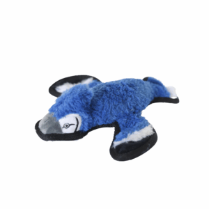 yard bird blue jay