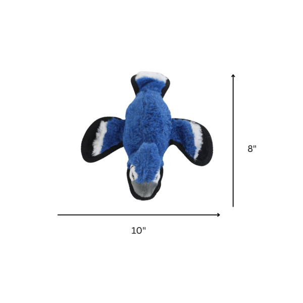 yard bird blue jay