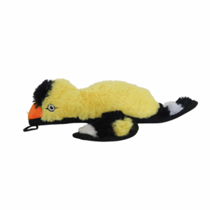 yard bird yellow finch