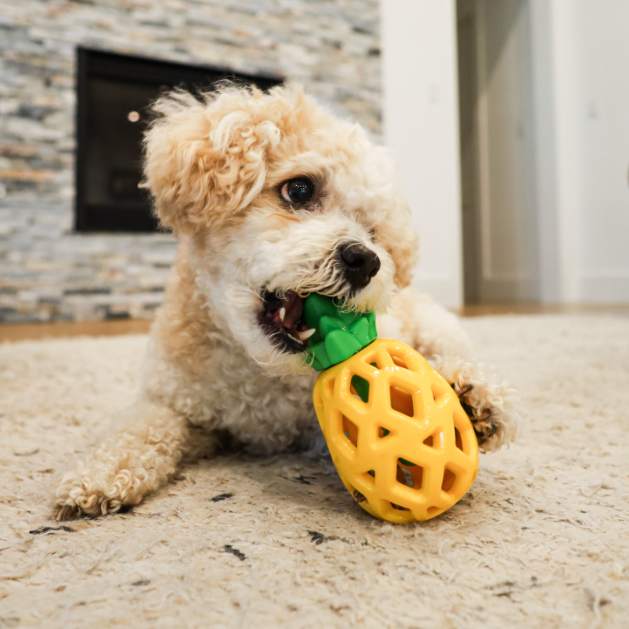 slow treater pineapple