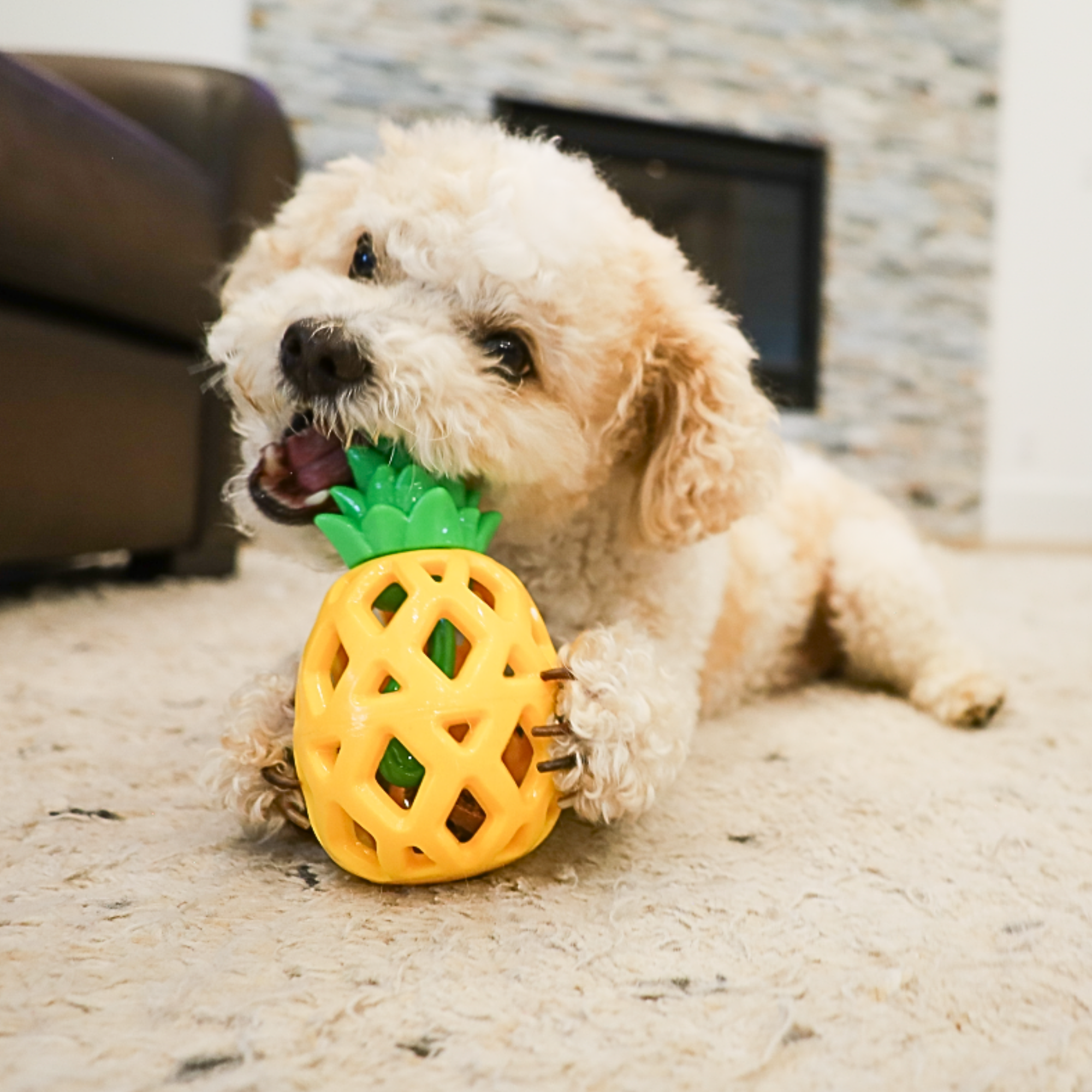 slow treater pineapple