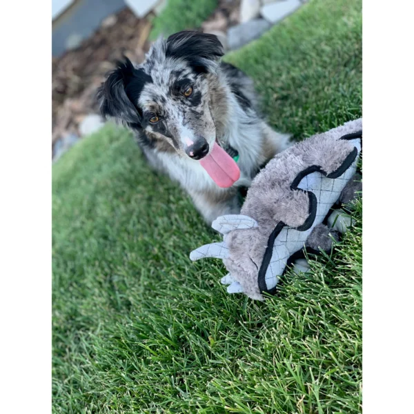 triceratopsDog
