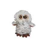 big eyed owl