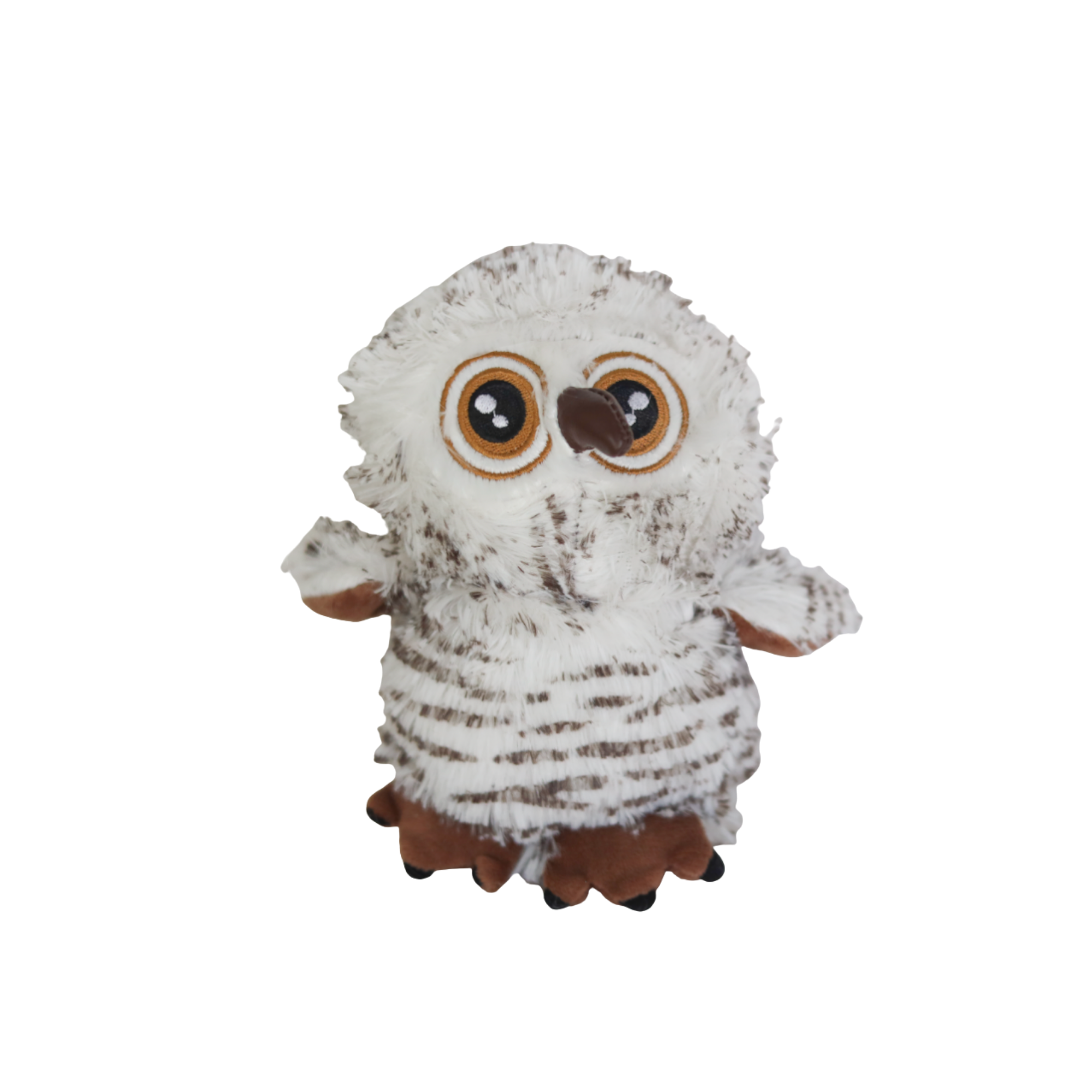 big eyed owl