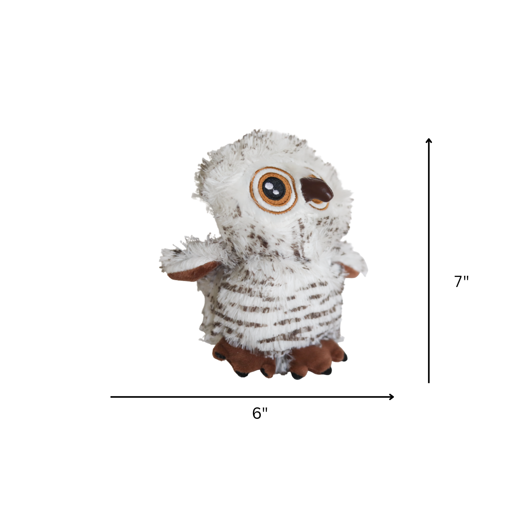 big eyed owl