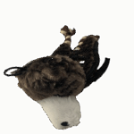 flat tugger bear