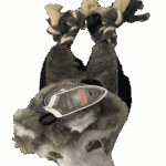flat tugger wolf