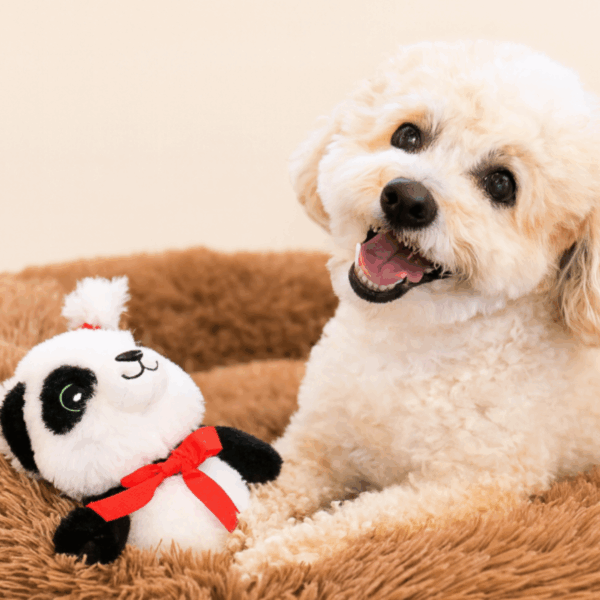 holiday baby panda