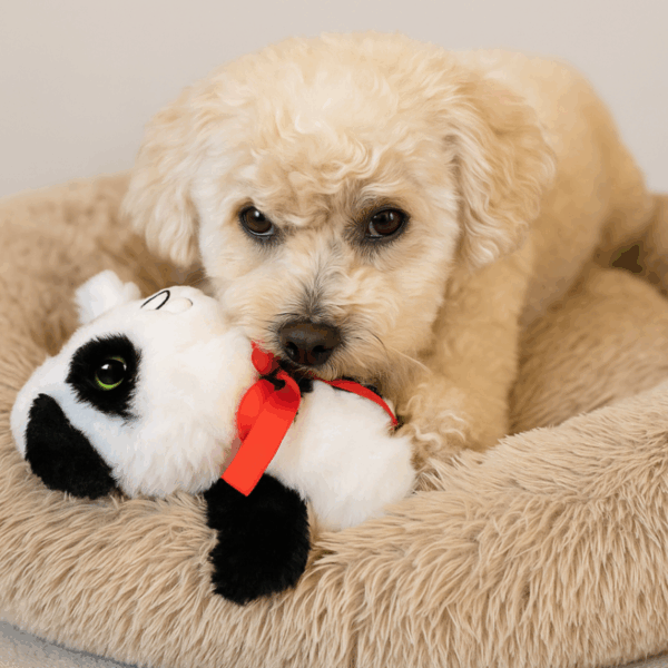 holiday baby panda