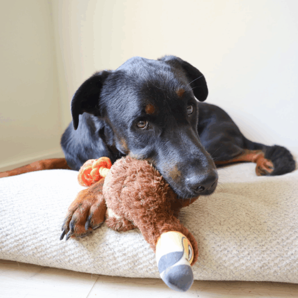 Dodo Bird – Tough Crinkle Plush with Rope Legs and Hidden Tennis Ball