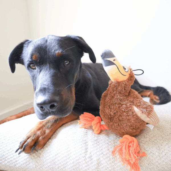 Dodo Bird – Tough Crinkle Plush with Rope Legs and Hidden Tennis Ball