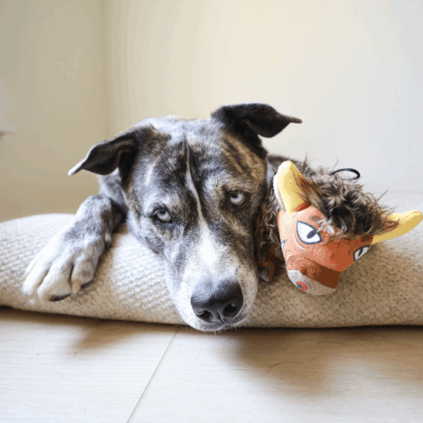 Ruffian Prairie Buffalo – Tough Plush with Rope Tail and Hidden Ball