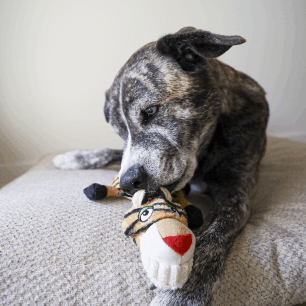 Ruffian Flat Tiger – Crinkle Plush w/ Hidden Tennis Ball