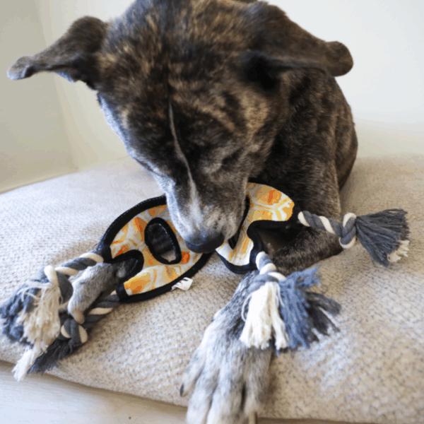 flat tugger wolf dog toy – tough tug + hidden tennis ball
